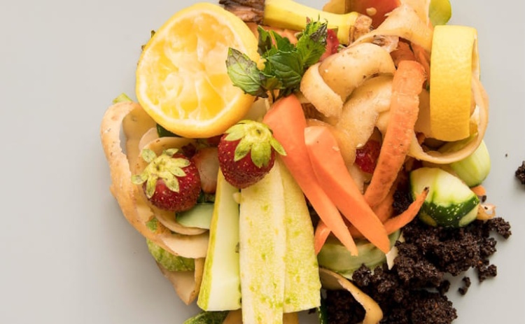 C&acirc;mara de Lagoa aposta no cumprimento das metas europeias para os res&iacute;duos urbanos