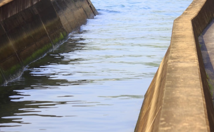 Potencial agr&iacute;cola do Algarve s&oacute; se desenvolve com garantia de acesso a &aacute;gua 