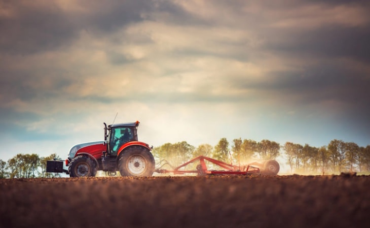 Algarve gera 811 milh&otilde;es na agricultura mas "perde" metade do valor 