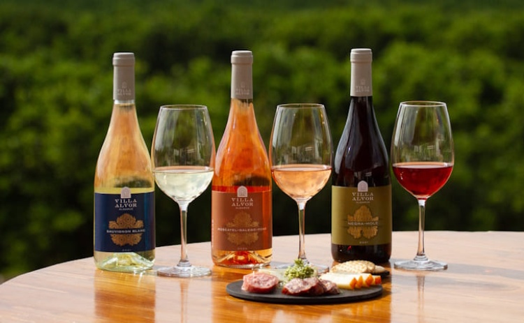 Especialistas internacionais v&atilde;o conhecer oferta tur&iacute;stica e vinhos de Portim&atilde;o