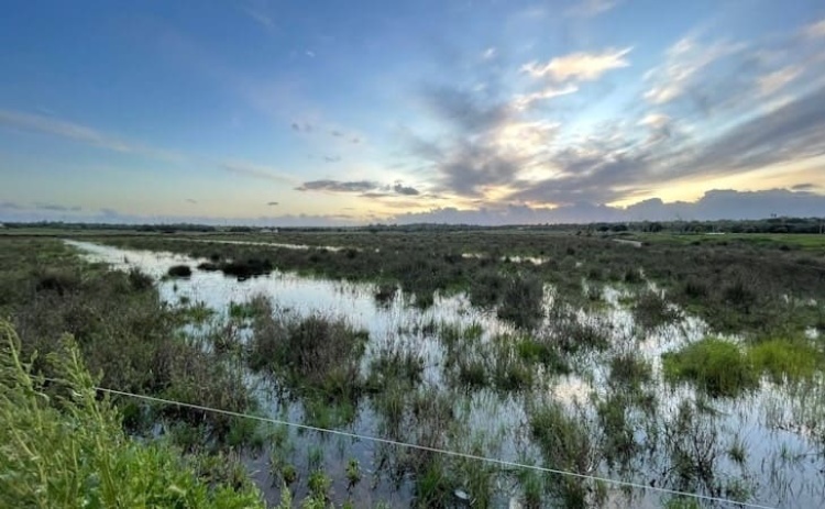 Parlamento aprova iniciativas do Chega, PAN e Livre para proteger Alagoas Brancas