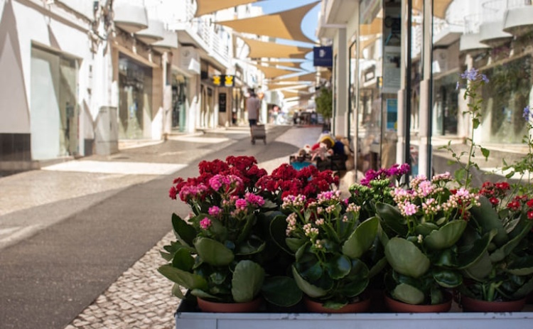 Bairro Comercial Digital de Portim&atilde;o inicia fase de implementa&ccedil;&atilde;o 