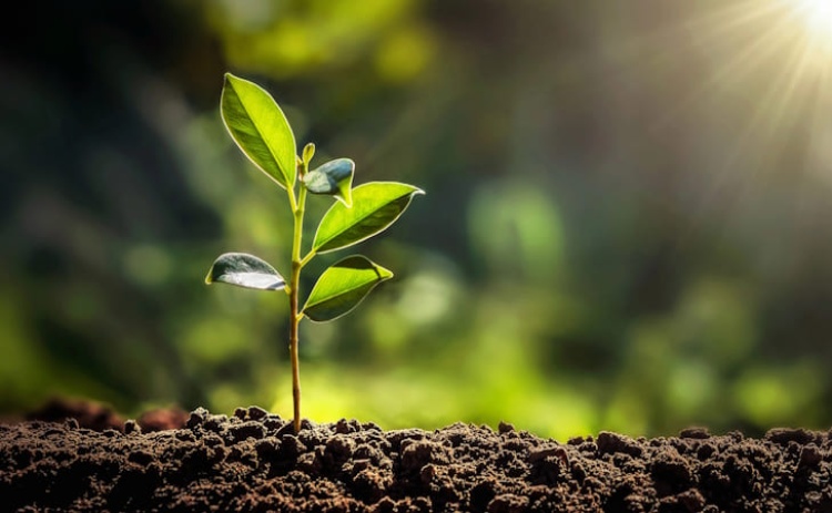 Durante uma semana, escolas e comunidade de Lagos v&atilde;o estar mais pr&oacute;ximas da natureza