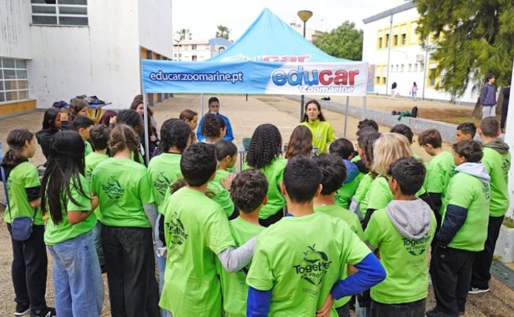 Alunos e professores de escola em Olh&atilde;o plantaram minifloresta Miyawaki