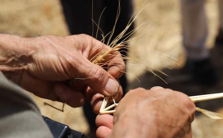 Loul&eacute; e Tavira recebem 3.&ordf; edi&ccedil;&atilde;o das Jornadas T&eacute;cnicas de Agricultura Biol&oacute;gica do Algarve