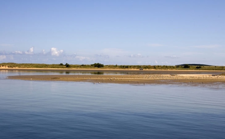 Tavira reserva v&aacute;rias atividades na Semana da Ria Formosa