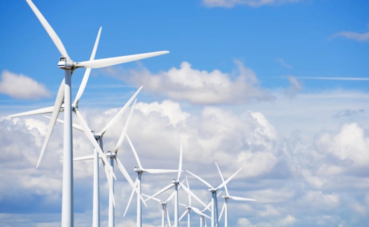 Plataforma ambiental op&otilde;e-se &agrave; modifica&ccedil;&atilde;o de projetos e&oacute;licos no Algarve