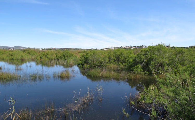 C&acirc;mara de Loul&eacute; apresenta queixa &laquo;contra prevaricadores&raquo; em crime ambiental