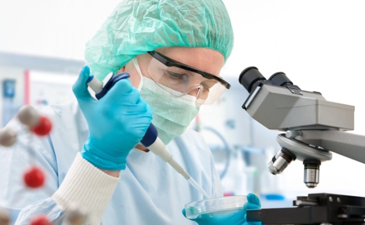 Investiga&ccedil;&atilde;o do cancro junta dois pr&eacute;mios Nobel e jovens cientistas em Vilamoura