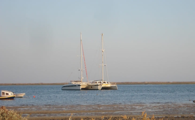 &ldquo;H&aacute; um mundo por descobrir&rdquo; no Dia Aberto do Parque Natural da Ria Formosa