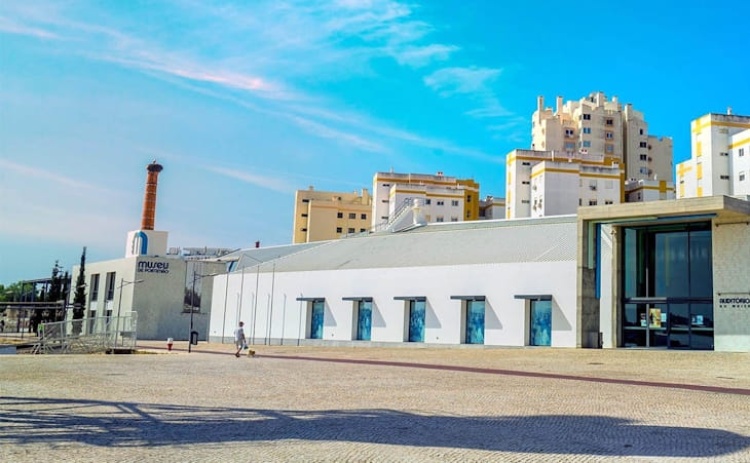 Especialistas portugueses e espanh&oacute;is v&atilde;o a Portim&atilde;o discutir impacto de alga invasora