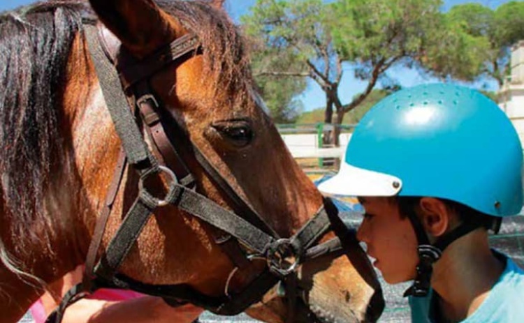 Biblioteca de Loul&eacute; apresenta manual de utiliza&ccedil;&atilde;o do cavalo como recurso terap&ecirc;utico