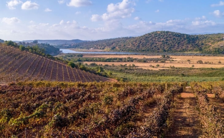 Algarve d&aacute; a conhecer a sua autenticidade ao mercado espanhol 
