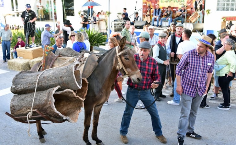 Grupo Vizinhos anima Festa da Espiga em Salir 
