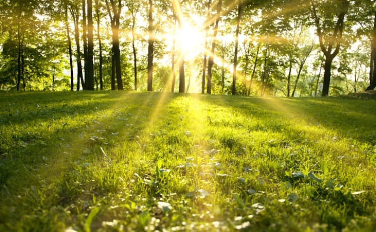Benef&iacute;cios de estar em contacto com a natureza