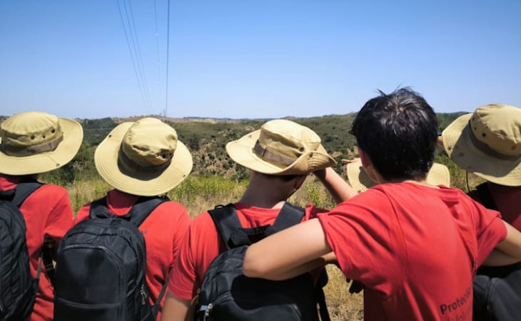 80 jovens &ldquo;a postos&rdquo; para vigiar &aacute;reas florestais no interior de Loul&eacute;