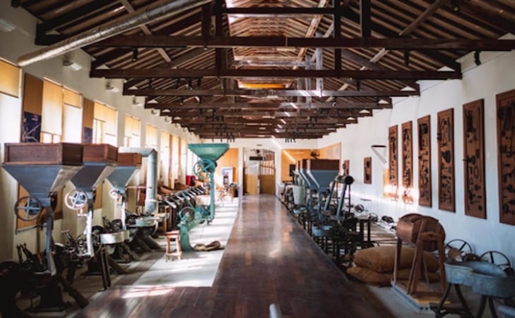 Museu da Corti&ccedil;a de Silves reabre ao p&uacute;blico ap&oacute;s 16 anos encerrado