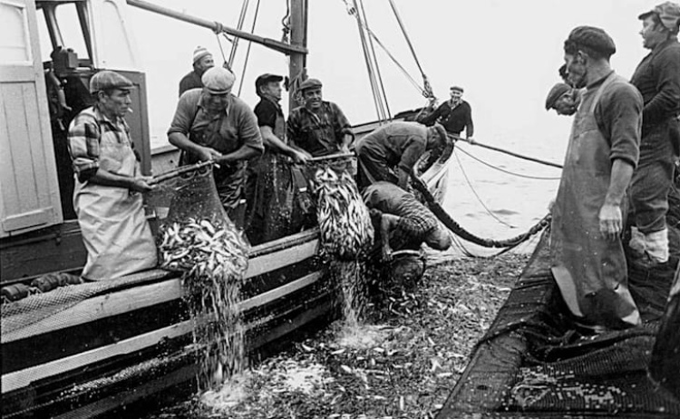 Exposi&ccedil;&atilde;o sobre a hist&oacute;ria da pesca em Portim&atilde;o vai ser inaugurada na Pra&ccedil;a Manuel Teixeira Gomes