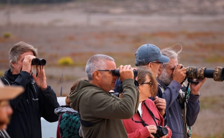 Programa do Festival de Observa&ccedil;&atilde;o de Aves com novidades por explorar