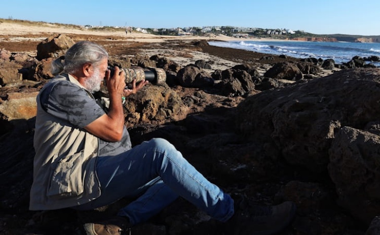J&aacute; est&atilde;o abertas as inscri&ccedil;&otilde;es para o Festival de Observa&ccedil;&atilde;o de Aves em Sagres