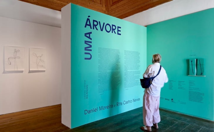 H&aacute; nova visita guiada &agrave; exposi&ccedil;&atilde;o "Uma &Aacute;rvore" em Tavira 