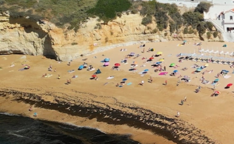 Lagoa testa recolha de alga invasora diretamente no mar