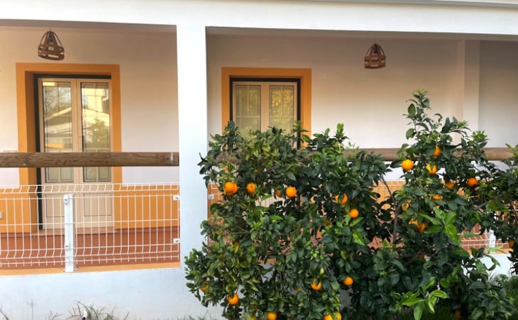 Algarve Central abre candidaturas a apoios para diversifica&ccedil;&atilde;o da economia rural