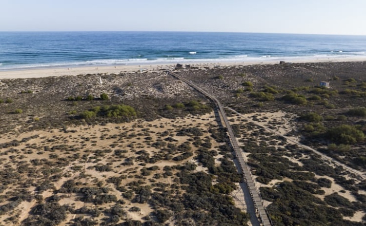 Concession&aacute;rio da Praia da Terra Estreita premiado por pr&aacute;ticas ambientais