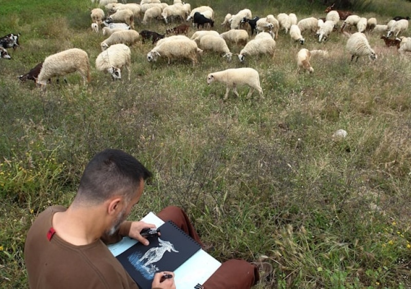 Museu de Tavira lança passatempo para desenhar “Paisagens Mediterrânicas”