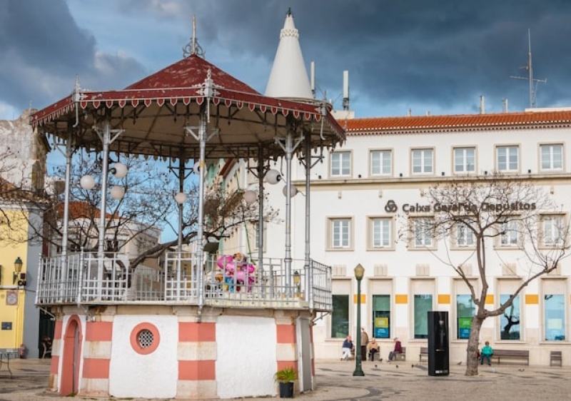 Intercâmbio cultural e empreendedorismo são objetivos de nova Associação Terra Irmã