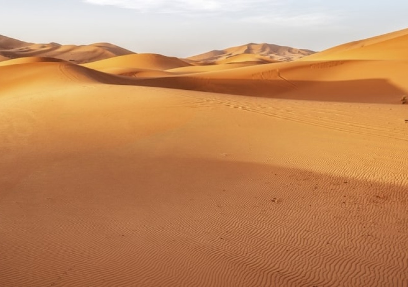 Equipa liderada por investigador da Universidade do Algarve pioneira em descoberta no deserto
