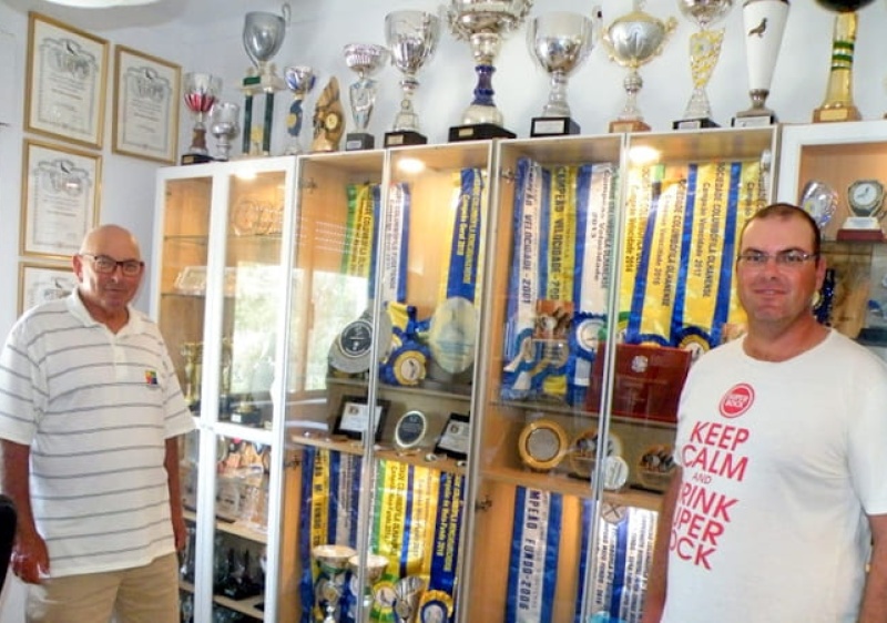 Columbofilia algarvia ganha bronze na Alemanha 