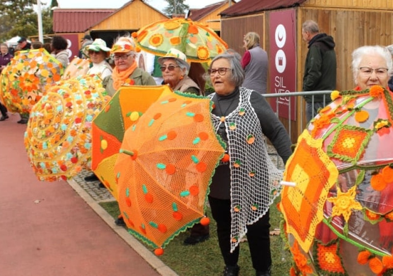 Mostra Silves Capital da Laranja apresenta workshops, demonstra&ccedil;&otilde;es e showcooking 