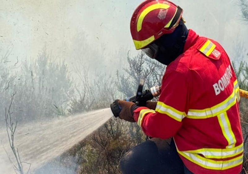 Inc&ecirc;ndio na Freguesia de Montenegro consumiu sete viaturas de rent-a-car