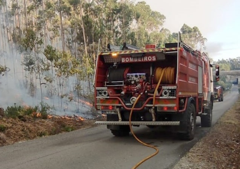 Centena de operacionais e cinco meios a&eacute;reos combatem fogo em Martim Longo