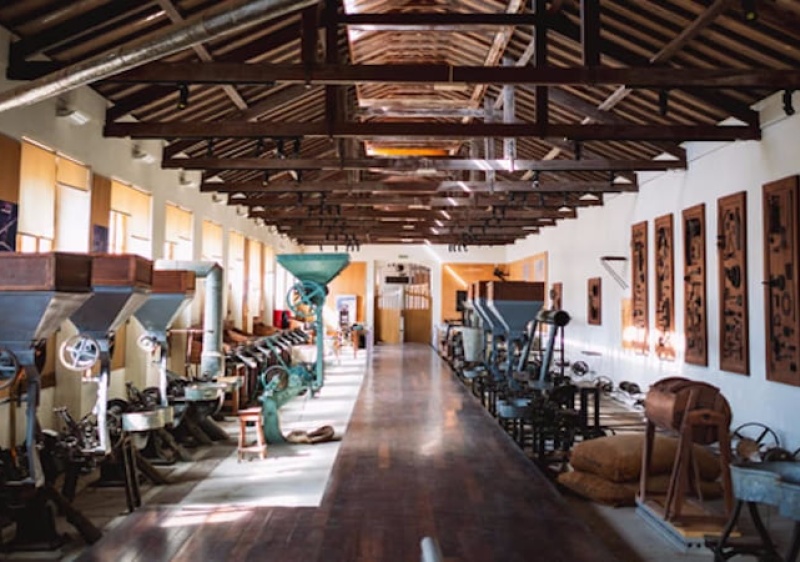 16 anos depois, Museu da Corti&ccedil;a reabre em Silves na hist&oacute;rica F&aacute;brica do Ingl&ecirc;s 