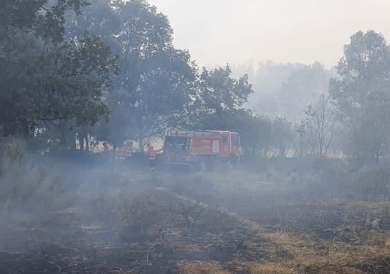 Dominado inc&ecirc;ndio que lavrou numa zona de mato em Marmelete