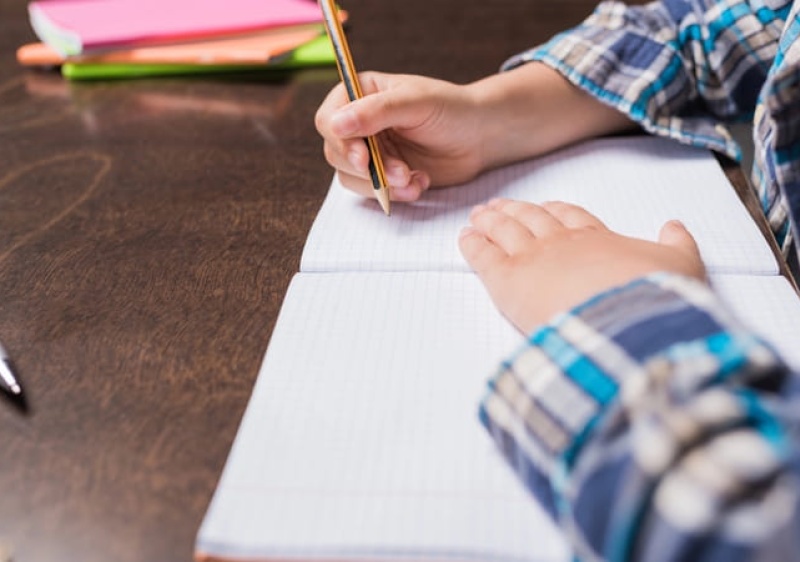 Lagos oferece cadernos de atividades a todos os alunos do 1.&ordm; ciclo no pr&oacute;ximo ano letivo